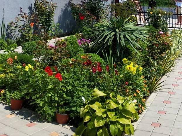 Vila Mila Riverside Apartments Смедереве Екстер'єр фото